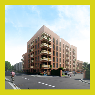 Gecko Christieroad 1