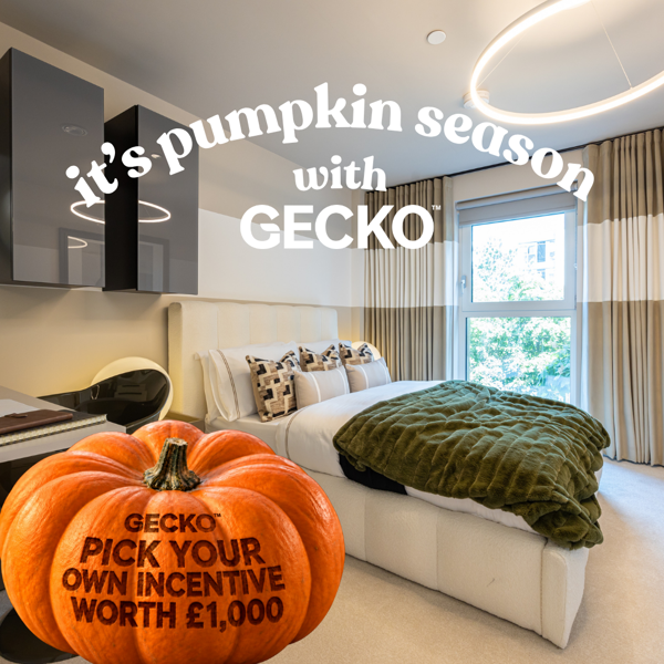 Gecko Incentive Website Content Block