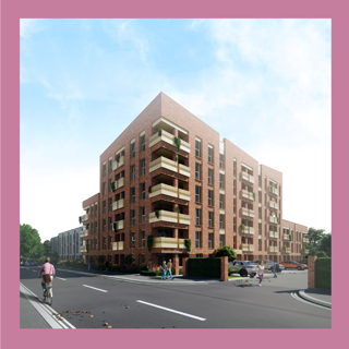 Gecko Christieroad 2